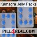 Kamagra Jelly Packs 20